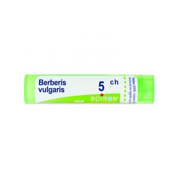 Berberis vulgaris*5ch 80gr 4g