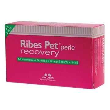 Ribes pet recovery blister 60 perle