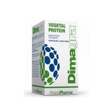 Dimagra protein polvere solubile gusto vaniglia 10 bustine