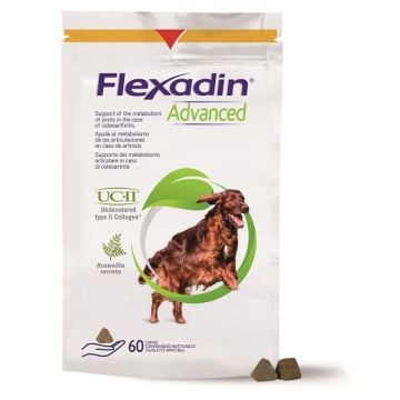 Flexadin advanced cane tutte le taglie 60 tavolette appetibili
